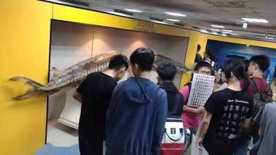 圖片說明