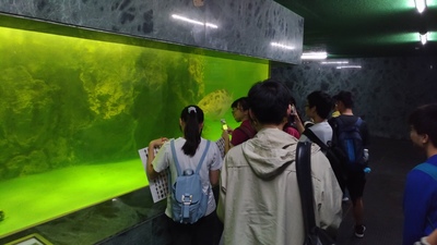 圖片說明